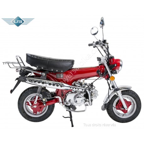 Petite moto Dax 50cc style Honda neuve paiement en 4 fois possible