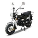 Moto Dax 125cc style Honda NEUVE